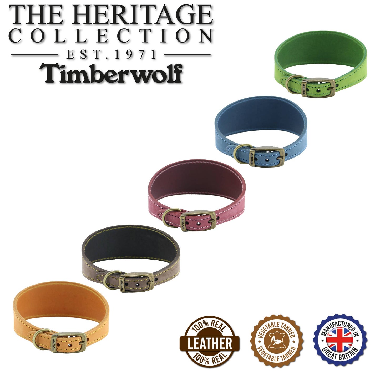 Ancol Pet Products Ltd - Timberwolf Leather Hound Collar ( Size 30-34cm) - Green / 30-34cm
