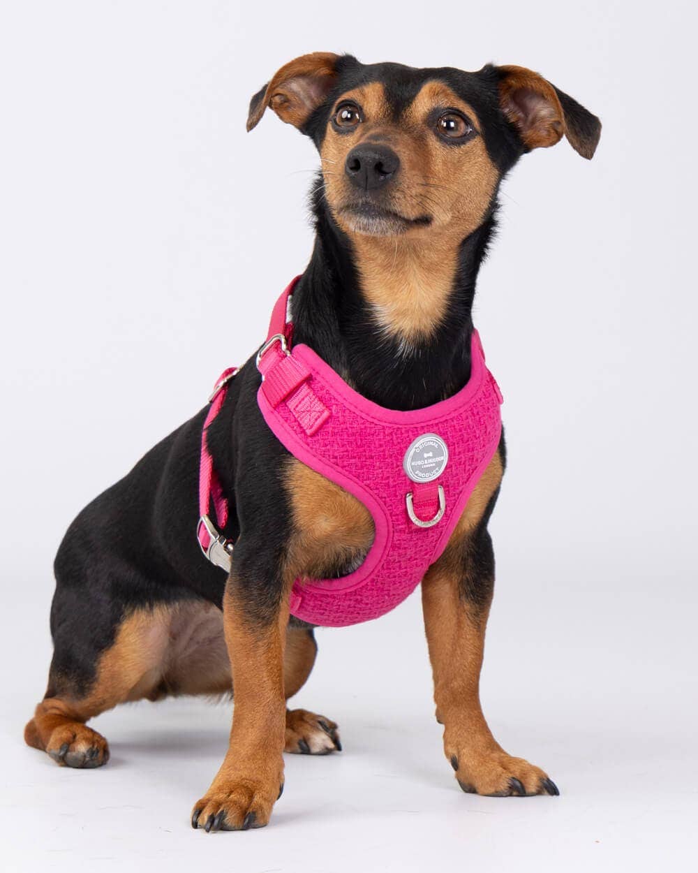 Hugo & Hudson - Pink Luxury Tweed Dog Harness - XS