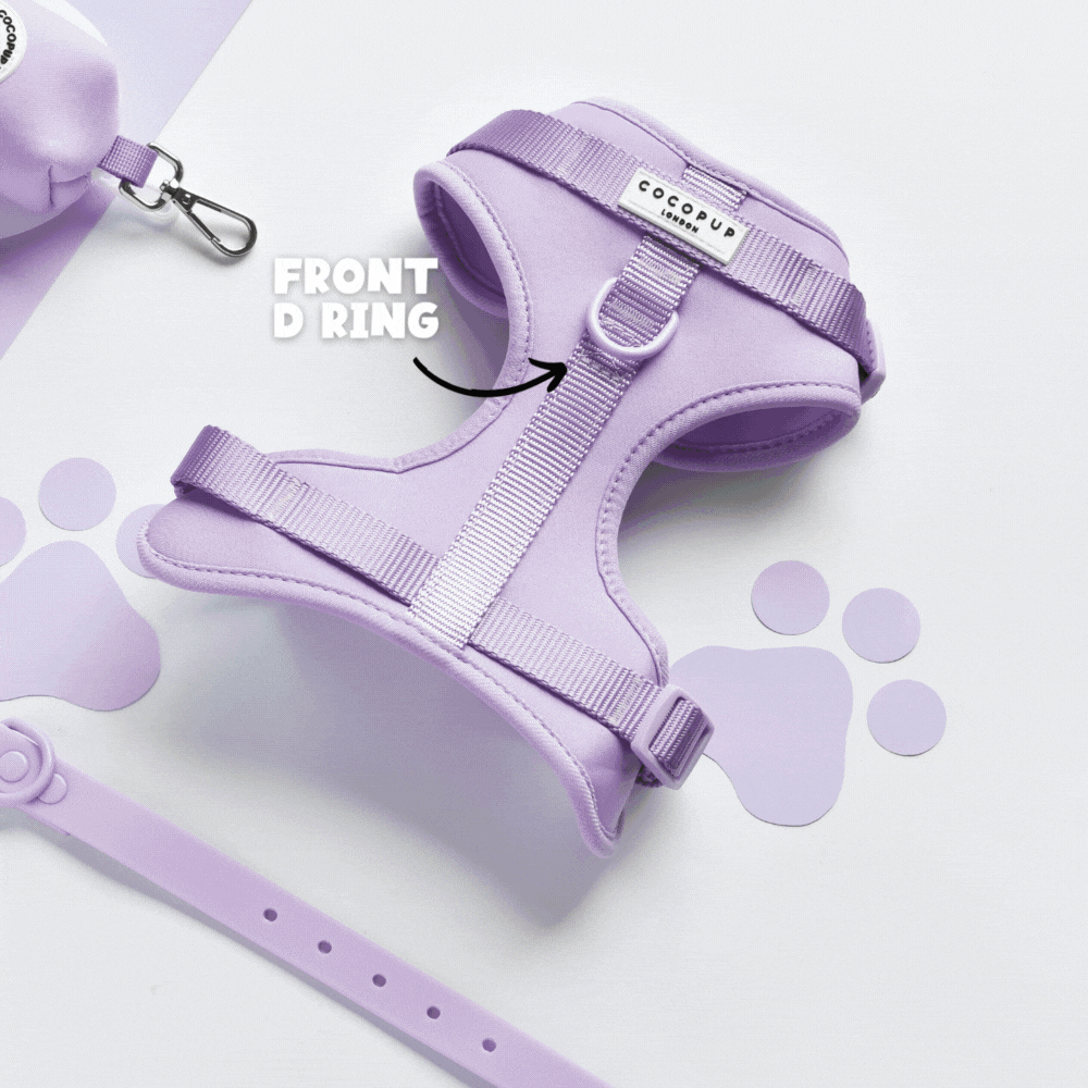 Cocopup London - NAKD Adjustable Neck Harness - Matcha - S