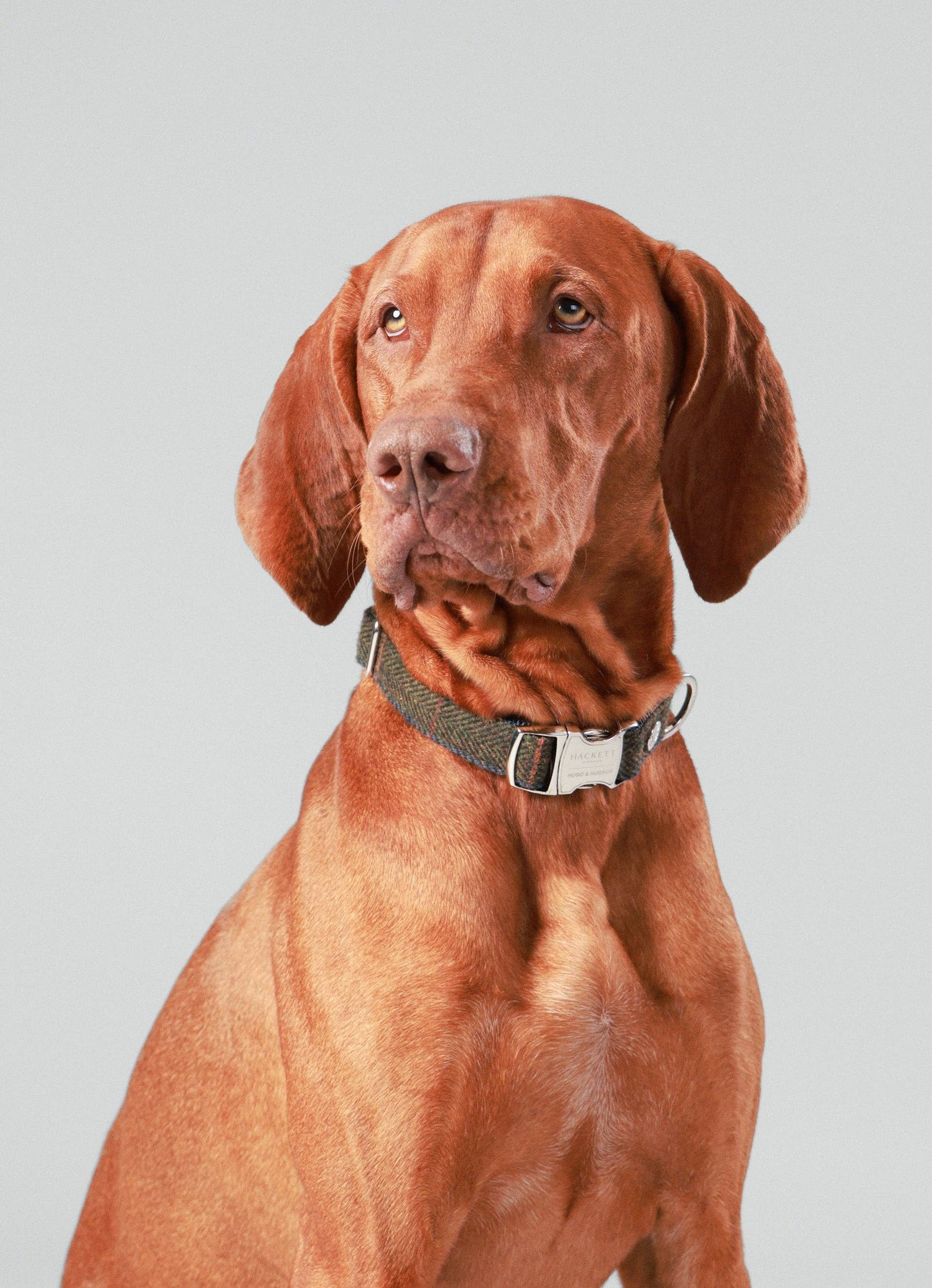 Hugo & Hudson - Hackett x Hugo Hudson Dark Green Checked Tweed Dog Collar - S