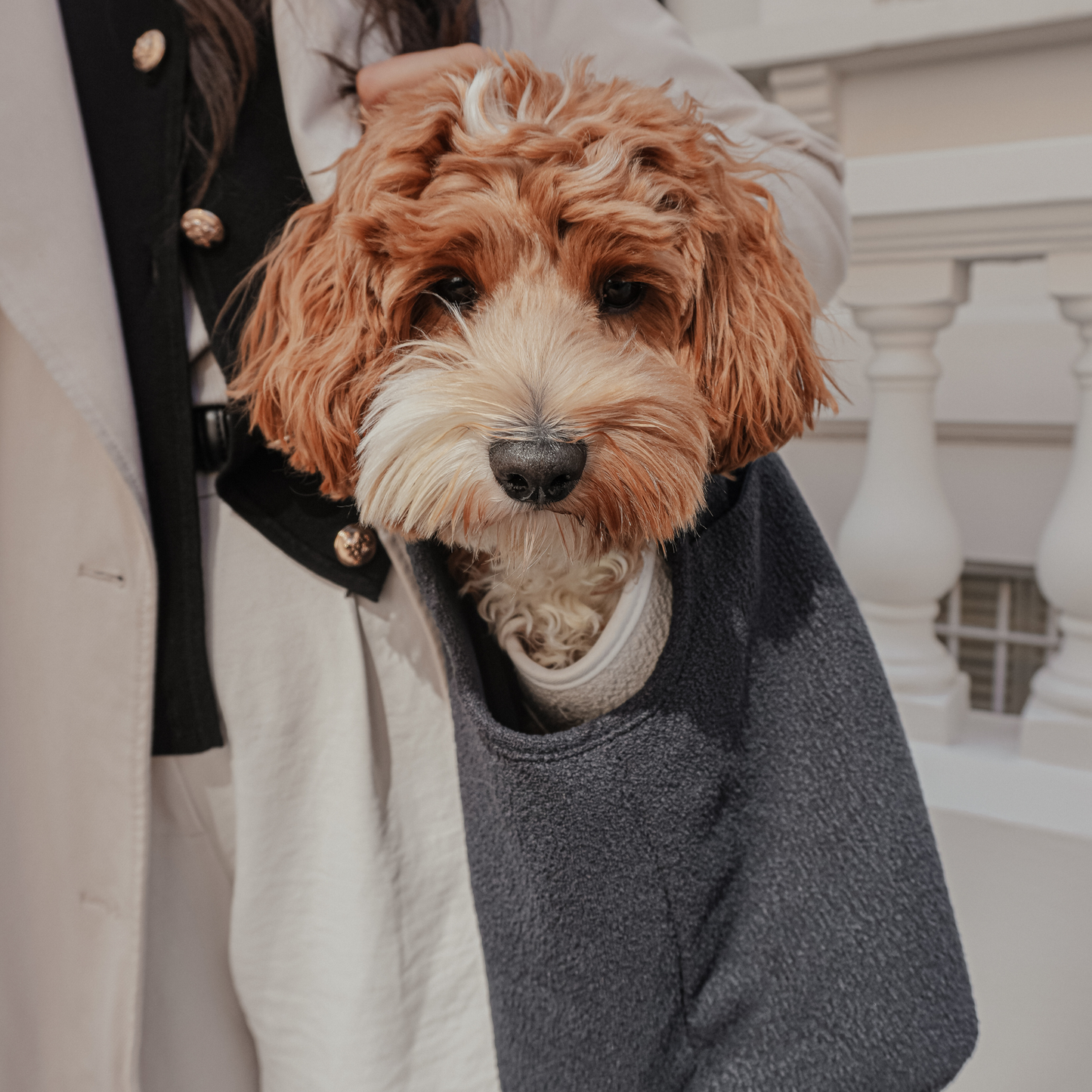 By Teddy - Midnight┃The Bouclé Carrier
