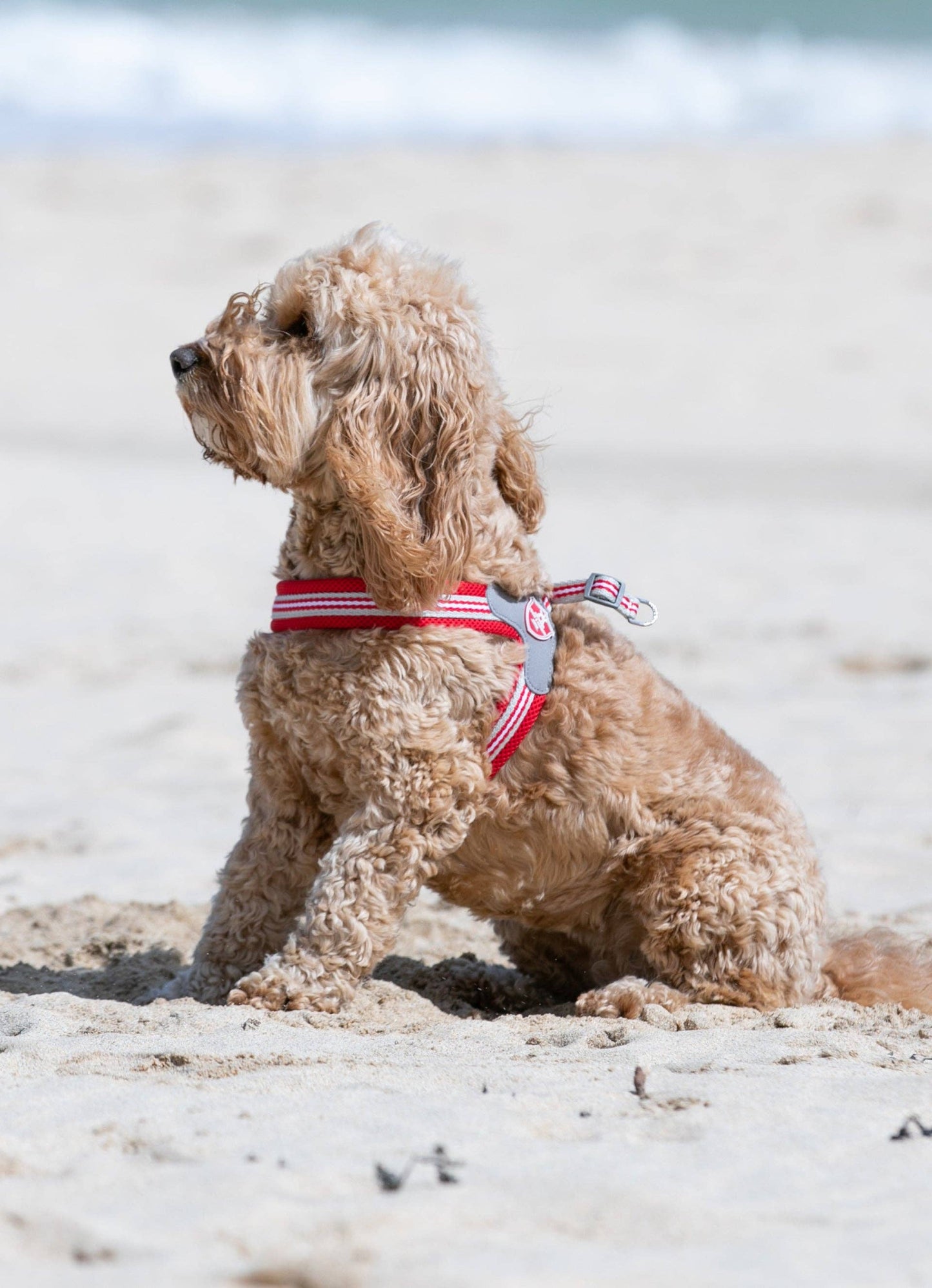 Hugo & Hudson - Easy Walk V Dog Harness - Red - 8