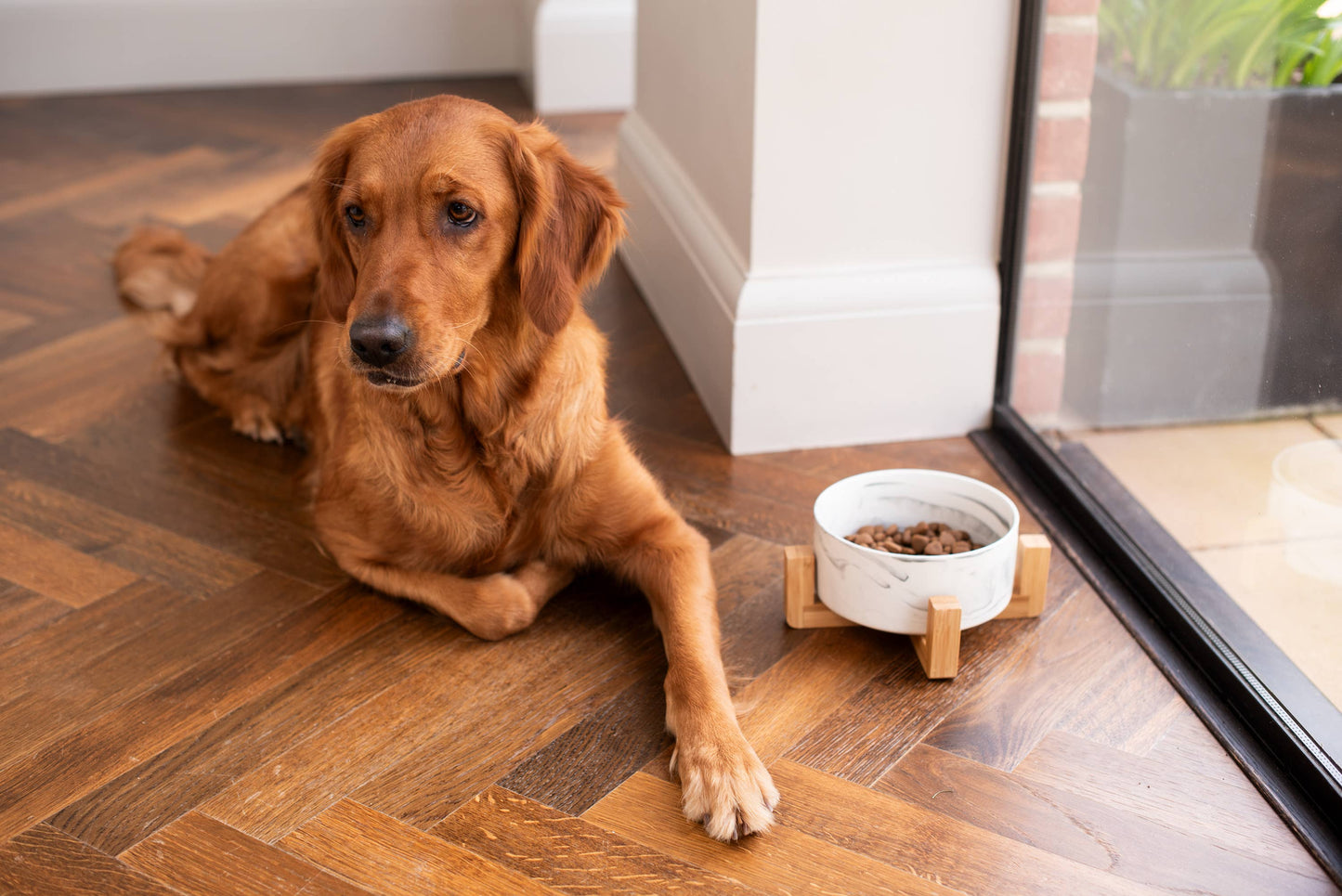 Pet Wiz - Ceramic Bowl with Bamboo Stand for Dogs & Cats - 7 Colours - Marble Effect - Grey