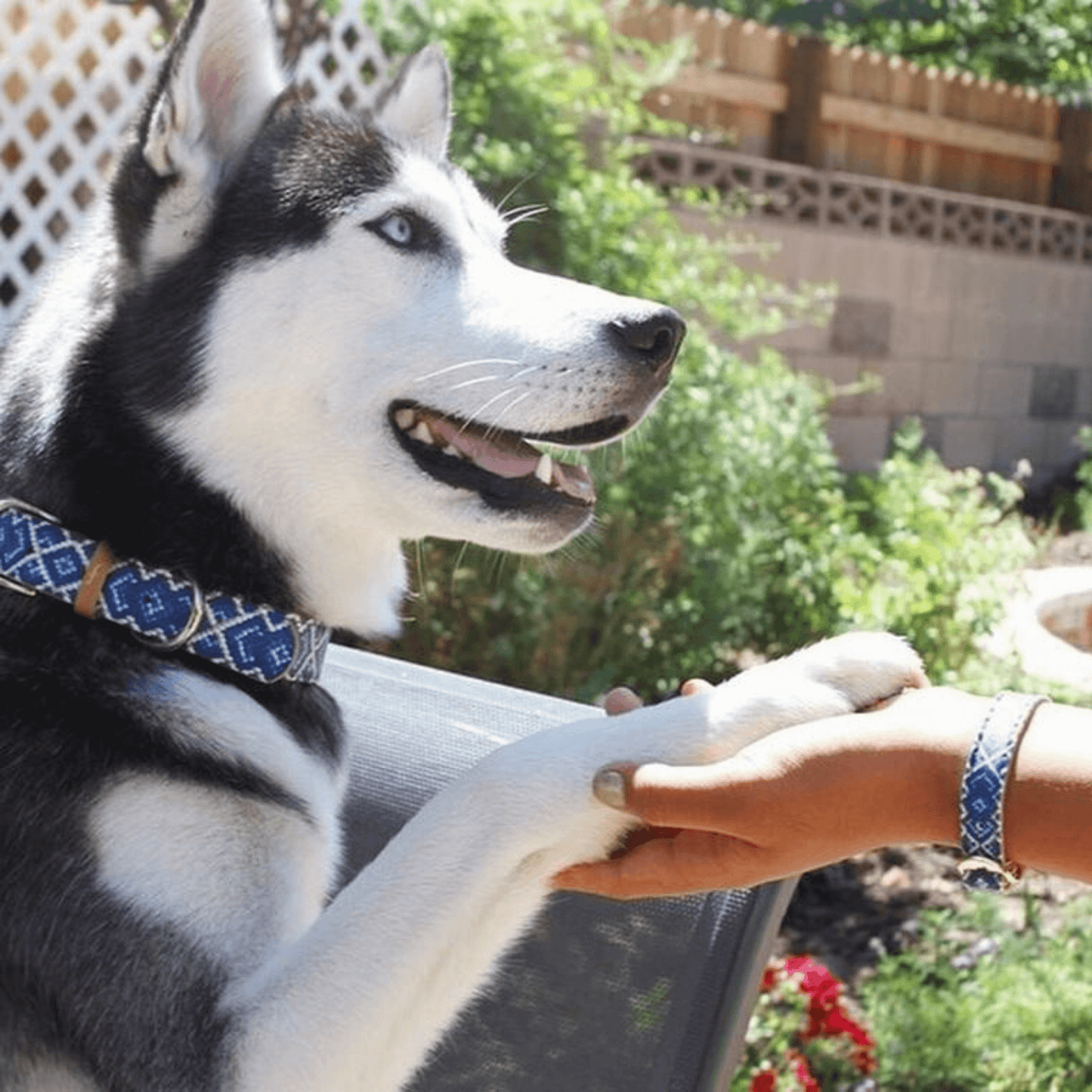 Friendship Collar - The Mucky Pup Matching Collar & Bracelet - XXS