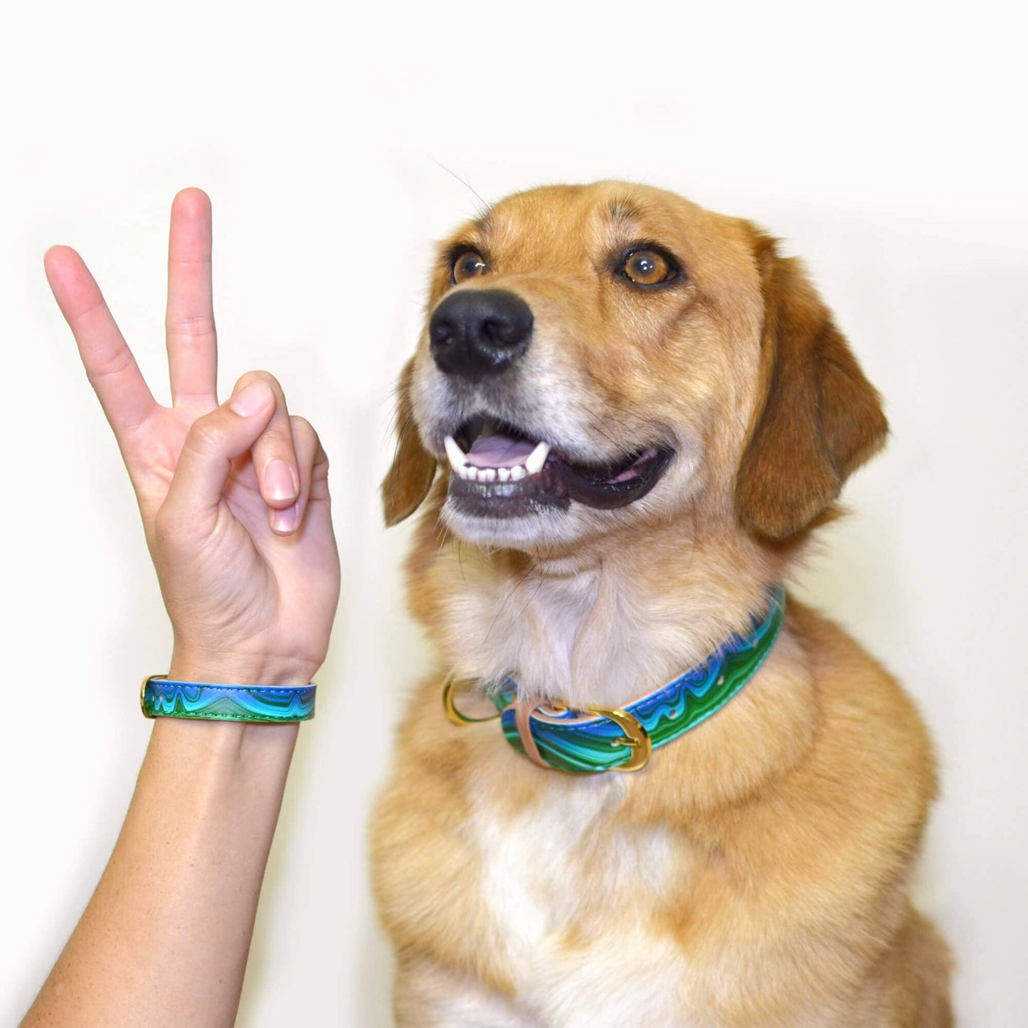 Friendship Collar - Magical Malachite Matching Collar & Bracelet - XS