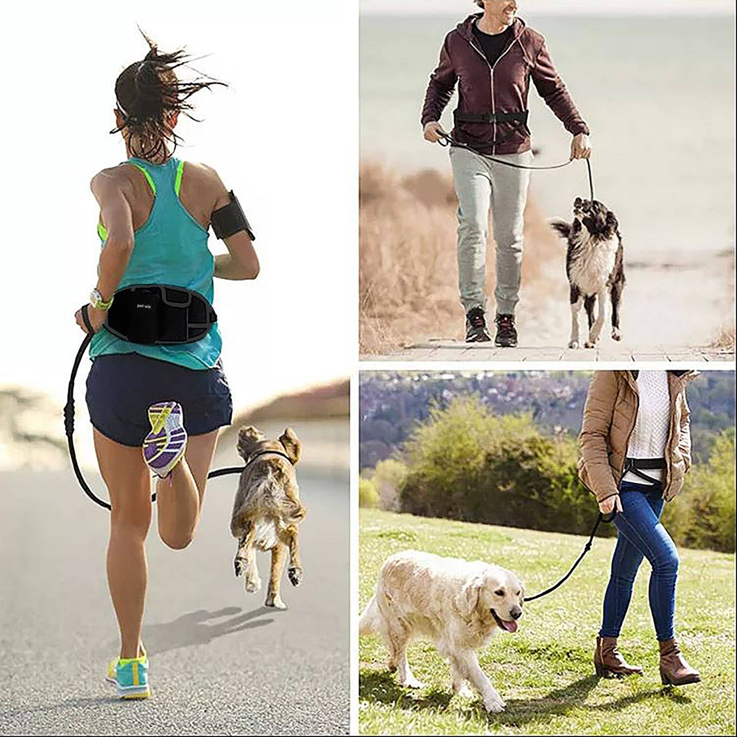 Pet Wiz - Hands Free Dog Running Lead with Wide Back Support Belt, Adjustable Waistband, Multiple Compartments, Dual Handles and Bungee Leads - Black