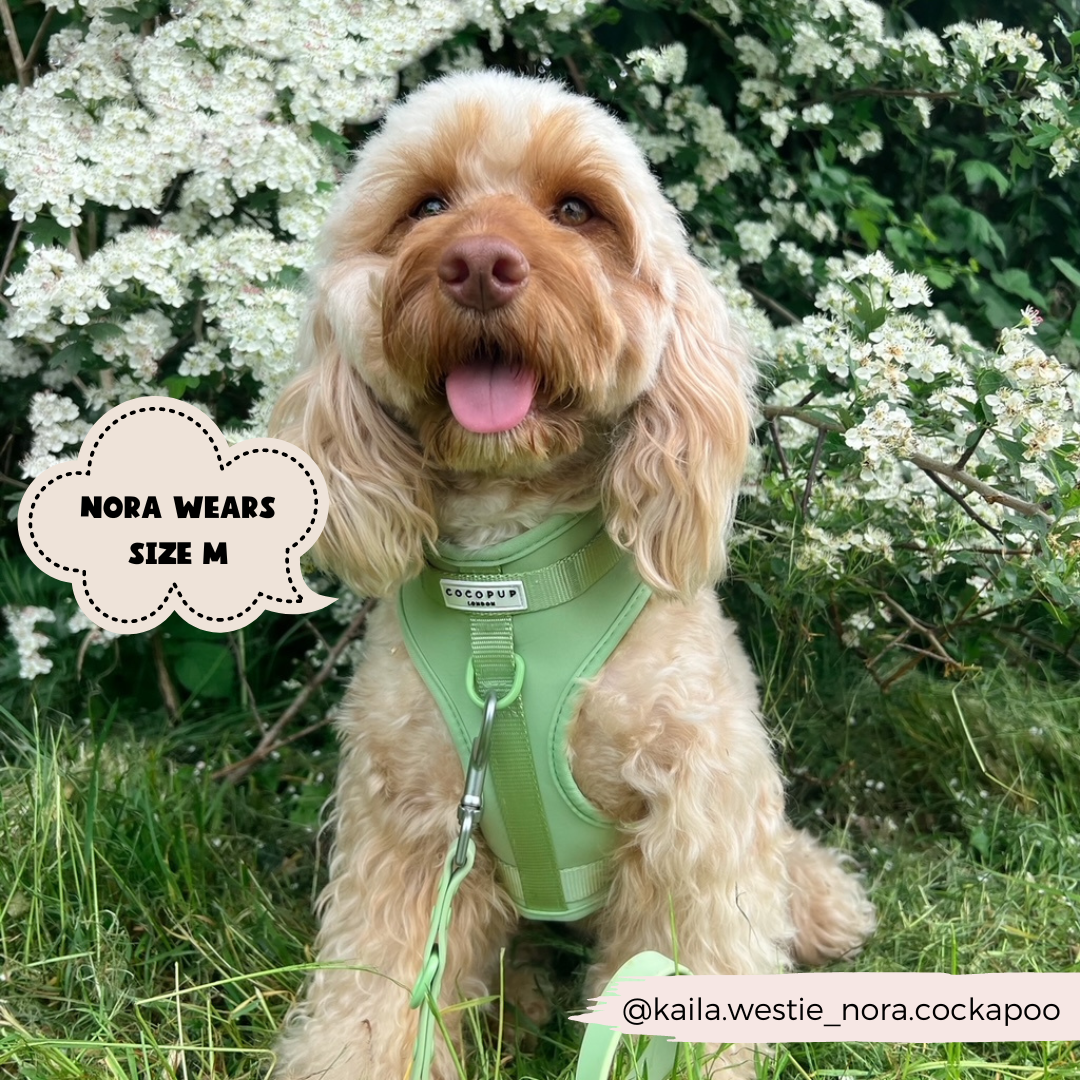 Cocopup London - NAKD Adjustable Neck Harness - Matcha - M