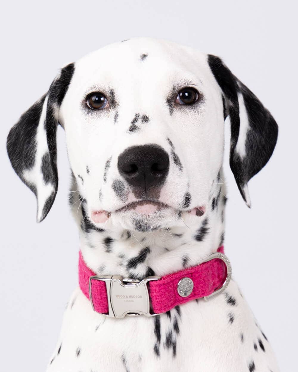 Hugo & Hudson - Pink Luxury Tweed Dog Collar - M