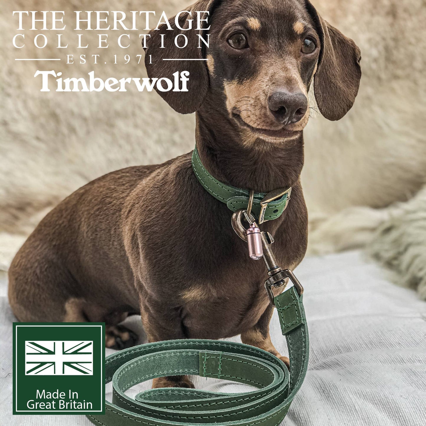 Ancol Pet Products Ltd - Timberwolf Leather Lead - various colours- 1m x 19mm - Blue / 1mx19mm