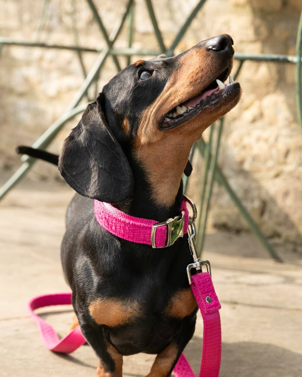 Hugo & Hudson - Pink Luxury Tweed Dog Collar - M