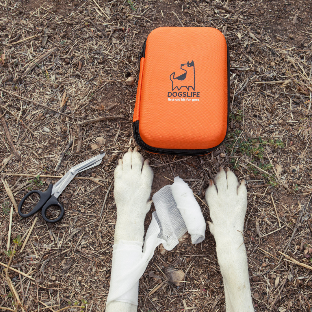 DogsLife - Dog First Aid Kit
