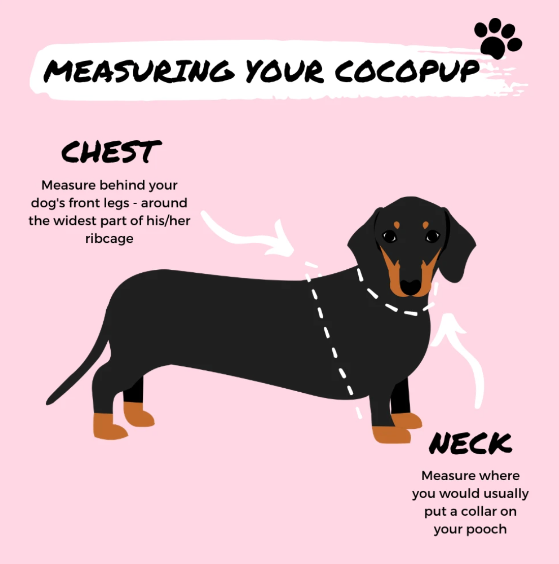 Cocopup London - NAKD Adjustable Neck Harness - Matcha - S