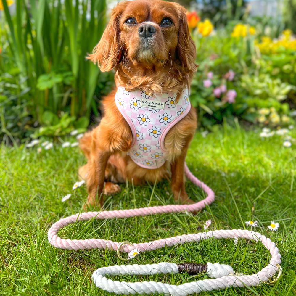 Cocopup London - Double Ended Rope Lead - Baby Pink