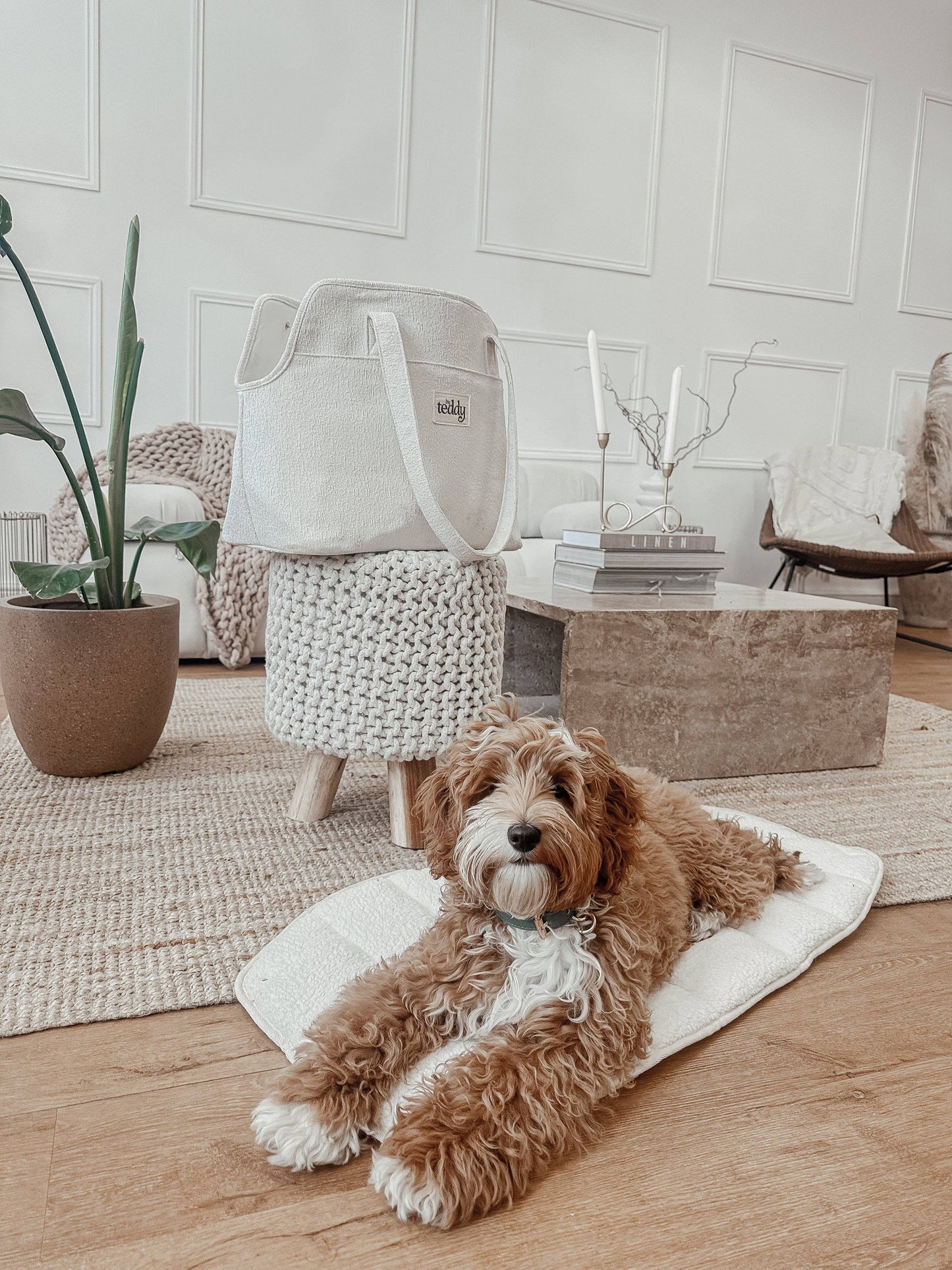 By Teddy - Marshmallow┃The Bouclé Carrier