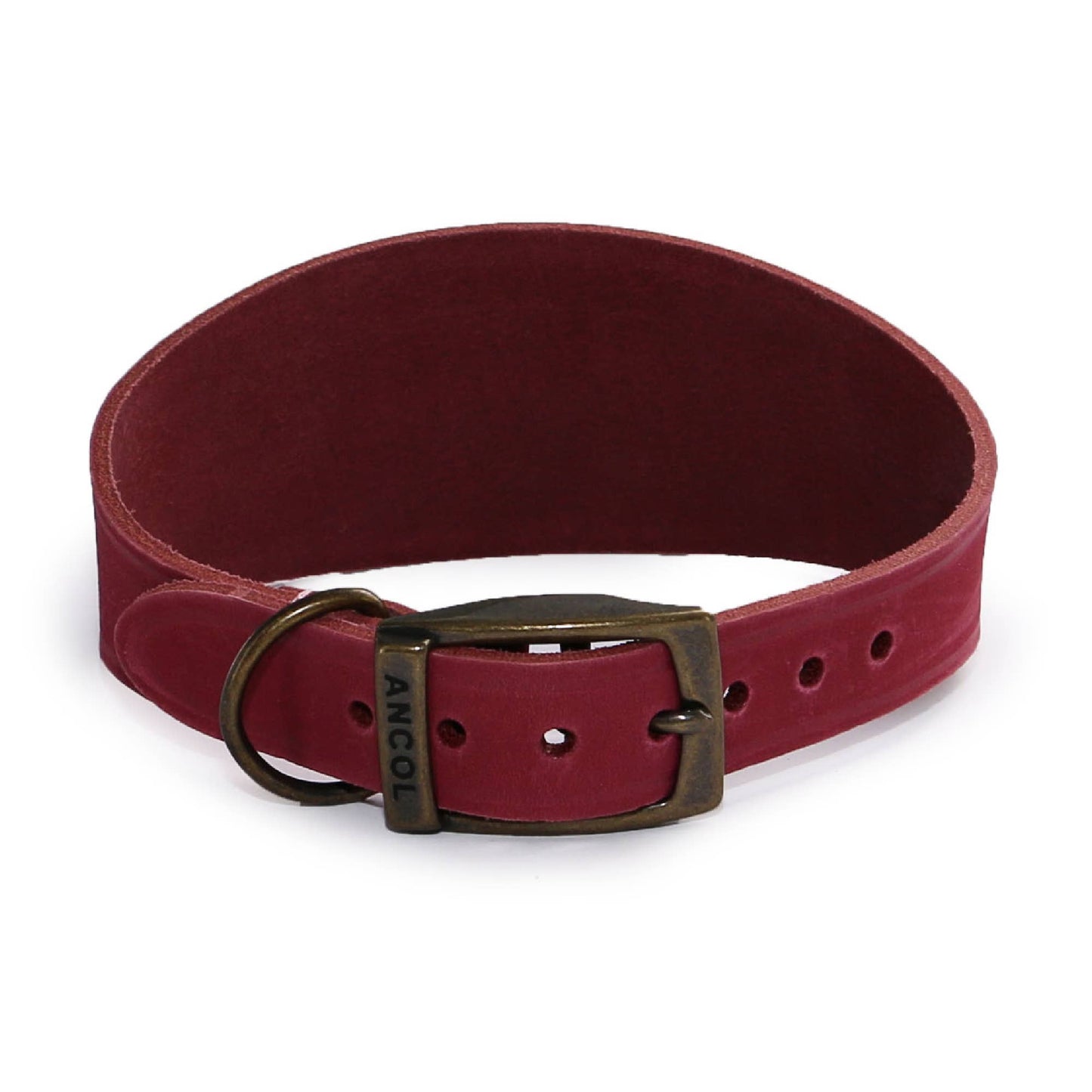 Ancol Pet Products Ltd - Timberwolf Leather Hound Collar ( Size 30-34cm) - Green / 30-34cm