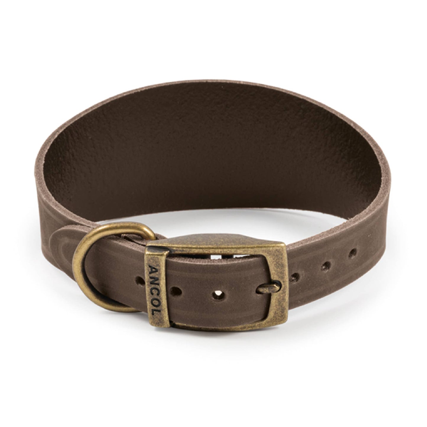 Ancol Pet Products Ltd - Timberwolf Leather Hound Collar ( Size 30-34cm) - Green / 30-34cm