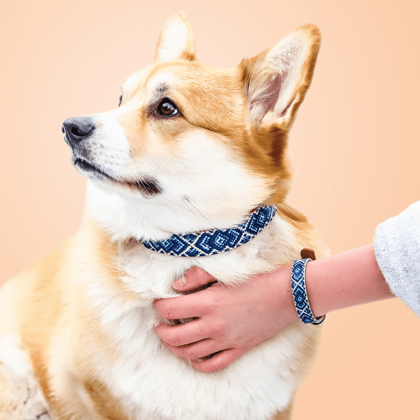 Friendship Collar - The Mucky Pup Matching Collar & Bracelet - XXS