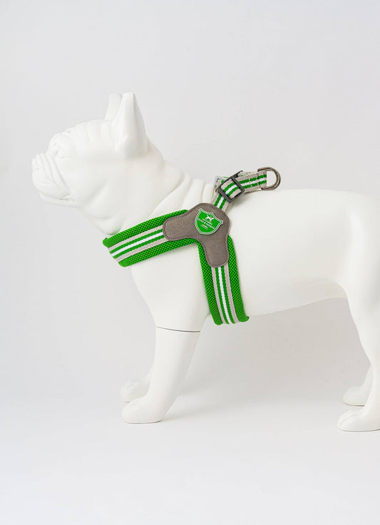 Hugo & Hudson - Easy Walk V Dog Harness - Green - 7