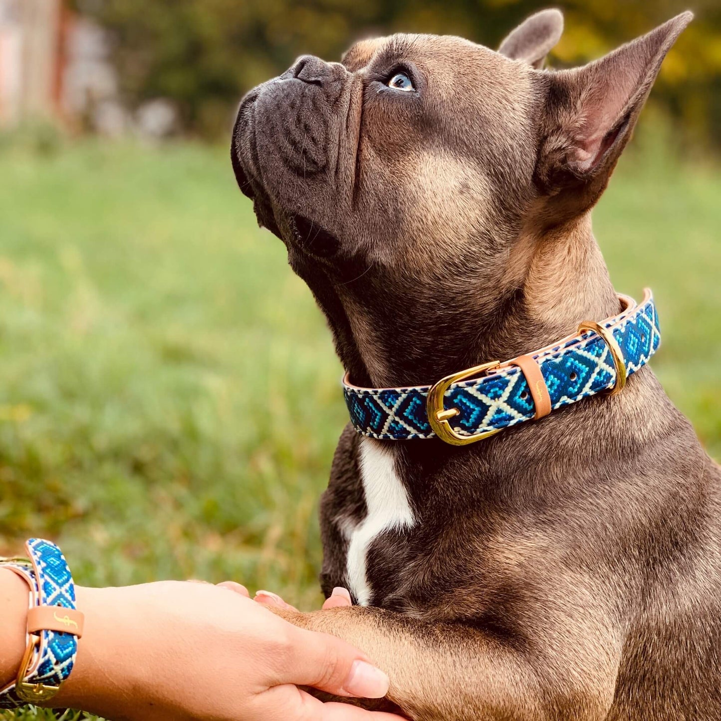 Friendship Collar - The Mucky Pup Matching Collar & Bracelet - XXS