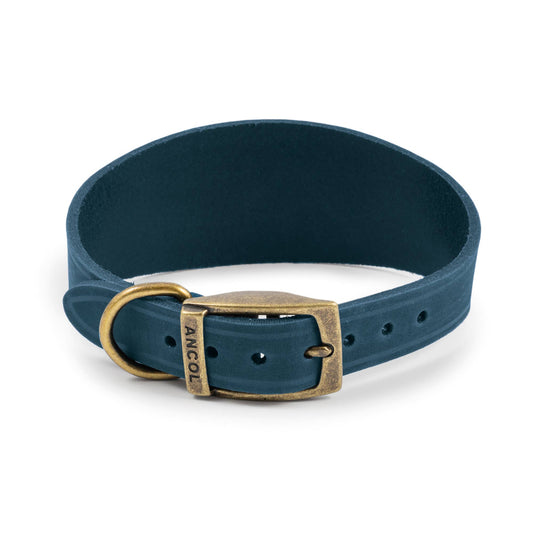 Ancol Pet Products Ltd - Timberwolf Leather Hound  Collar ( Size 30-34cm) - Blue / 30-34cm