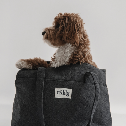 By Teddy - Midnight┃The Bouclé Carrier