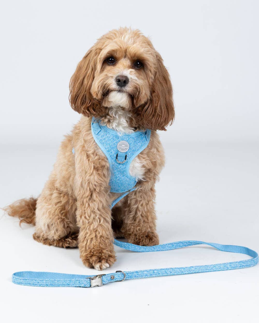 Hugo & Hudson - Blue Luxury Tweed Dog Lead - M/L