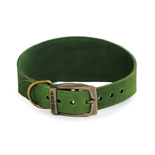 Ancol Pet Products Ltd - Timberwolf Leather Hound  Collar ( Size 30-34cm) - Green / 30-34cm
