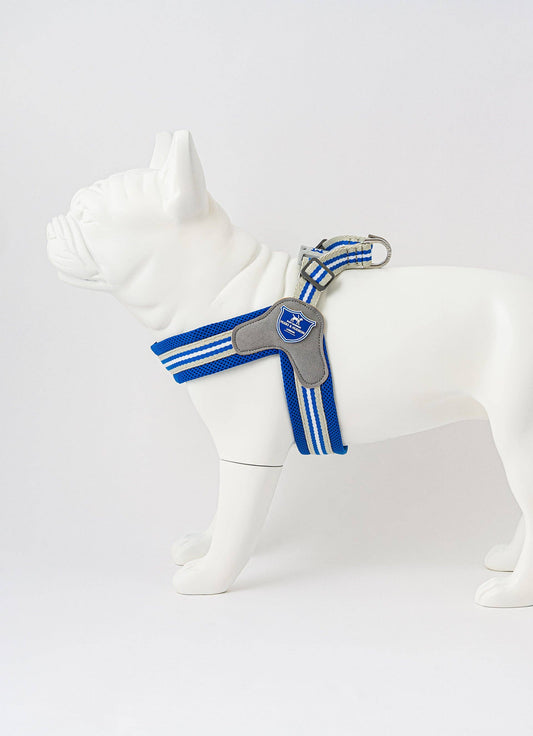 Hugo & Hudson - Easy Walk V Dog Harness - Royal Blue - 8