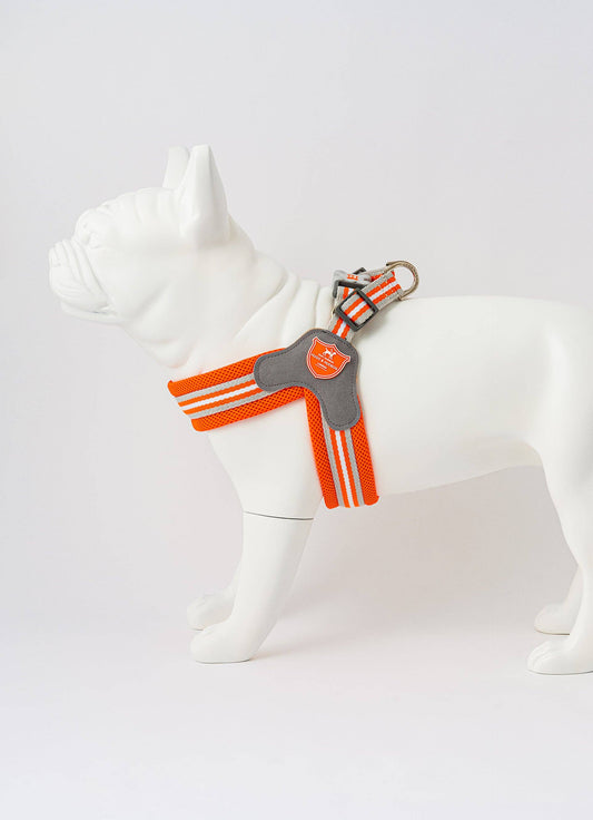 Hugo & Hudson - Easy Walk V Dog Harness - Orange - 2