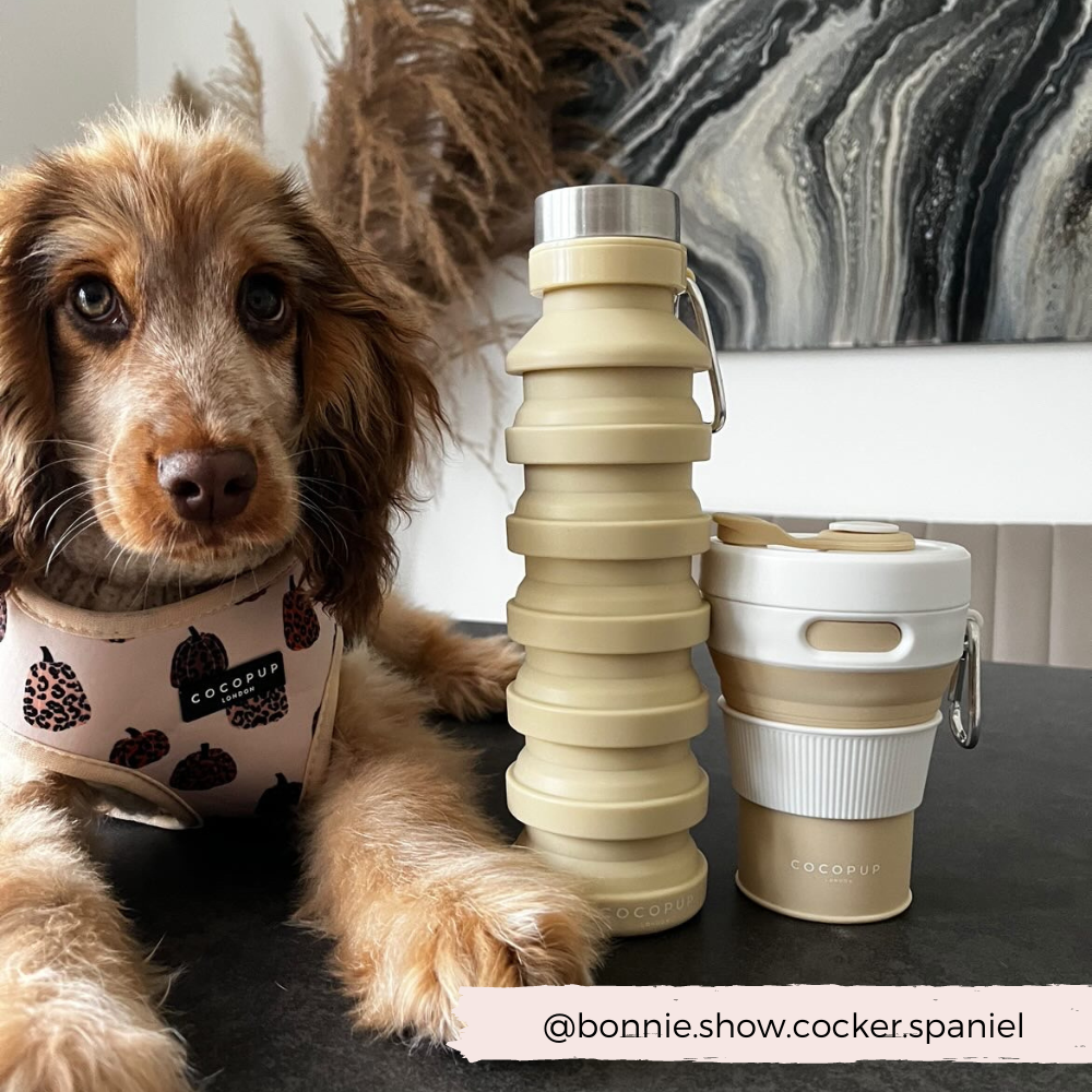 Cocopup London - Collapsible Water Bottle - Nude