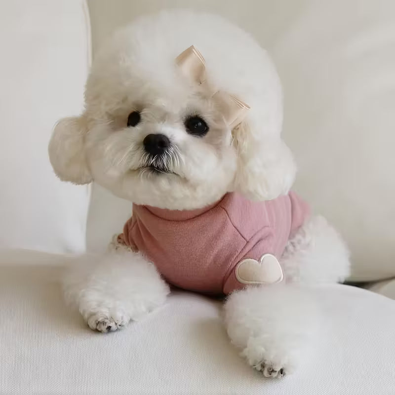 Cozy Evening Wear