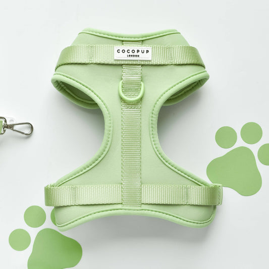 Cocopup London - NAKD Adjustable Neck Harness - Matcha - XS