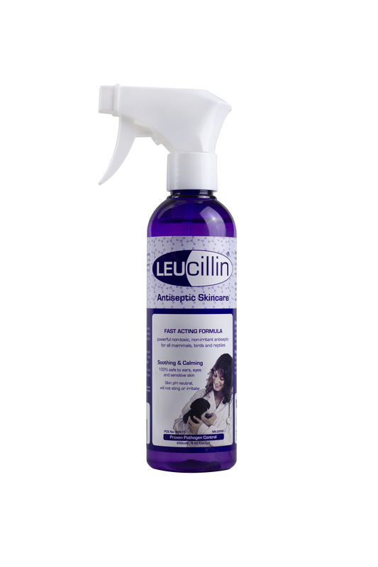 Leucillin - Leucillin Pet Antiseptic Spray | 250ml