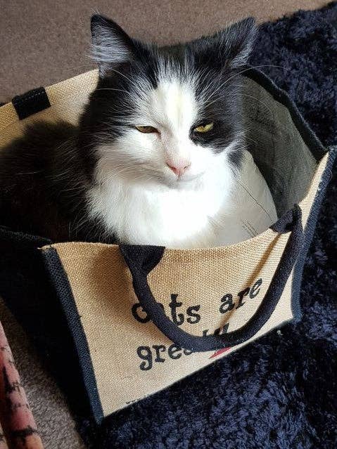 These Bags are Great - Cats are Great Bag - Jute Shopping Bag Gift Tote