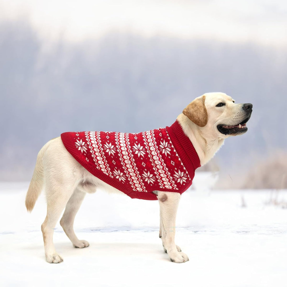 Cable Knit Small Dog Sweater Turtleneck, Cold Weather Pullover Classic Knitwear with Leash Hole, Snowflake Pattern Thick Warm Winter Pet Clothes, Dog Outfits Medium Christmas Sweater, Red M