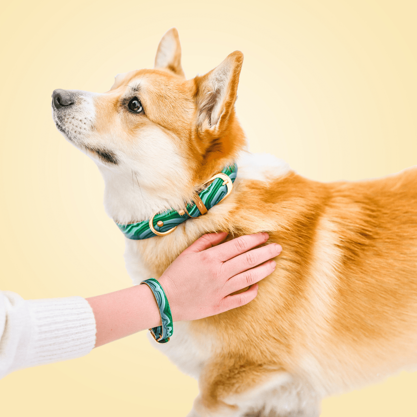Friendship Collar - Magical Malachite Matching Collar & Bracelet - XS