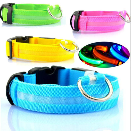 USB Rechargeable Light Up Pet Collar Nylon Glow Flashing LED Neck Band